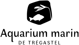 Aquarium Marin de Trégastel