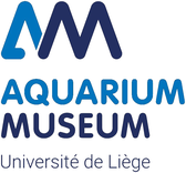 Aquarium Museum Liège
