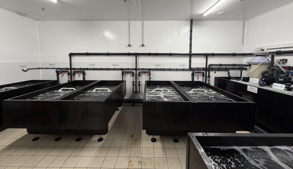 High-tech live tank installed at E. Leclerc Plérin